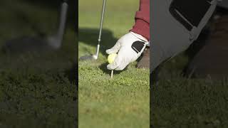 How to Calculate Golf Handicap Like a Pro! 7 Simple Steps!