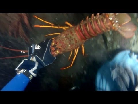 More Lobster Hunting and Kayak Diving with GoPro
