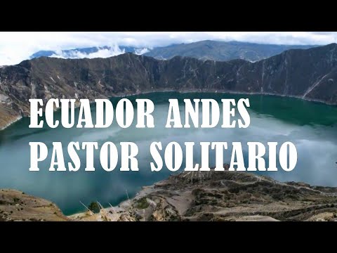 Janusz Gajec /-/ Samotny Pasterz ...