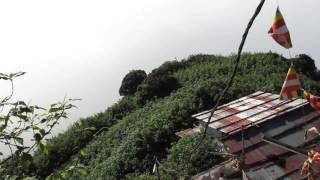 preview picture of video 'Siri Pada - Buterfly Mountain - Adams Peak. The beautiful view while climbing uphill'