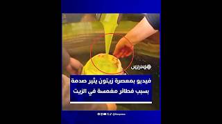 ظهور مشاهد "مقلقة" في فيديو متداول من داخل إحدى وحدات العصر التقليدية للزيت بالمغرب thumbnail