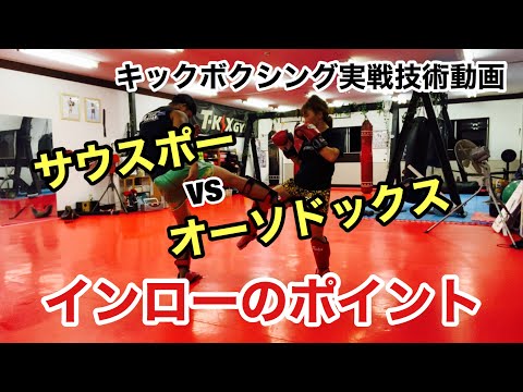 【実No.10】インローのポイント！サウスポーvsオーソドックス編【キックボクシング実戦テクニック】
