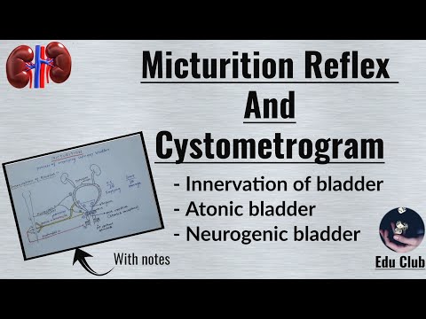 Micturition reflex | Cystometrogram || Renal physiology