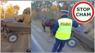 [討論] 波蘭發生酒駕 自動駕駛失效衝出路邊