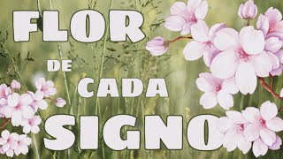 Flor de cada signo