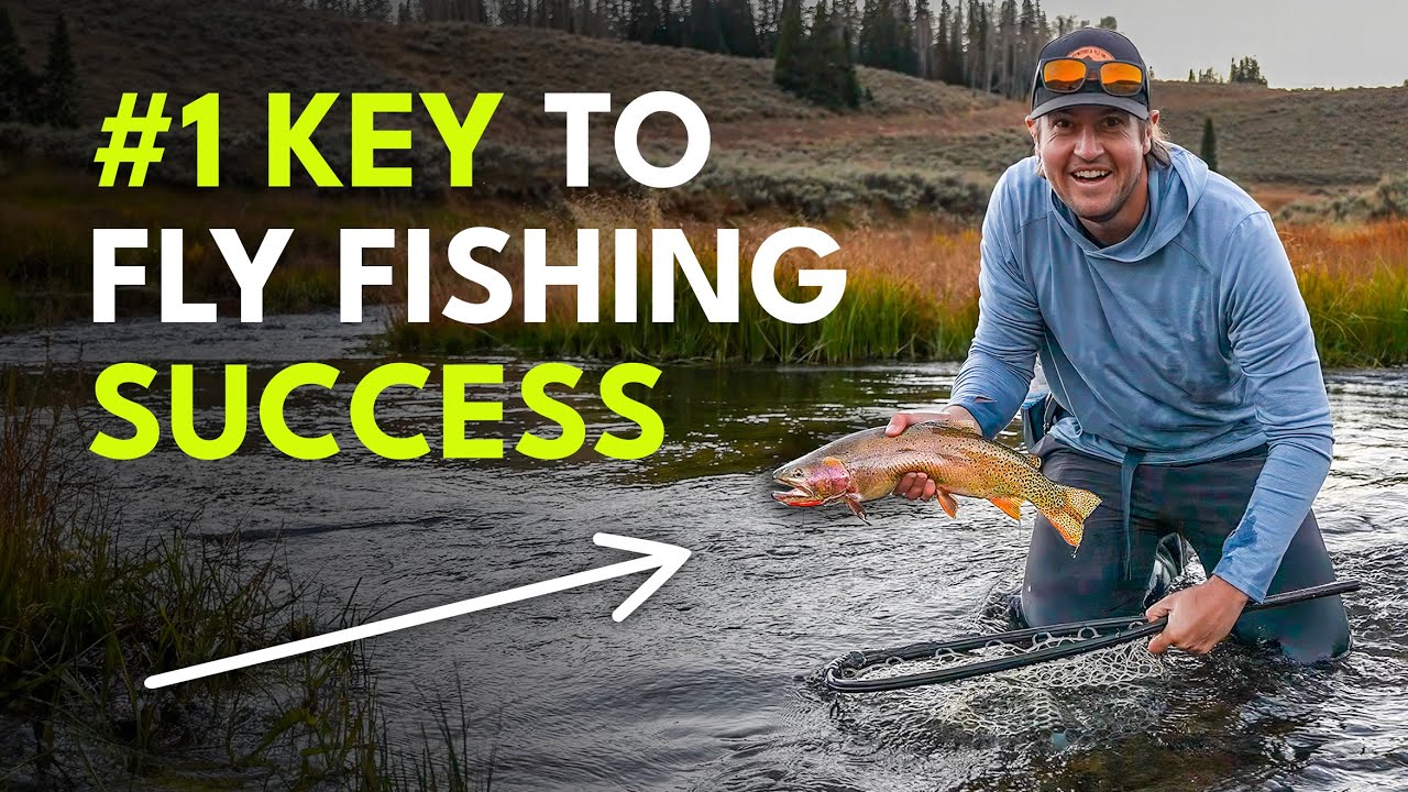 Ever Wondered Why Spring is the BEST Season for Fly Fishing in Australia? 🎣