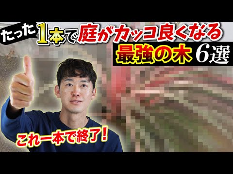 ローゼンヴァルトマイスター 植物