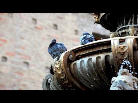 Romagna Mia - Orietta Berti  ( Con le foto di CESENA - Provincia di Forlì-Cesena)