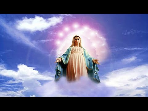 Perdão Lilás Ale de Maria