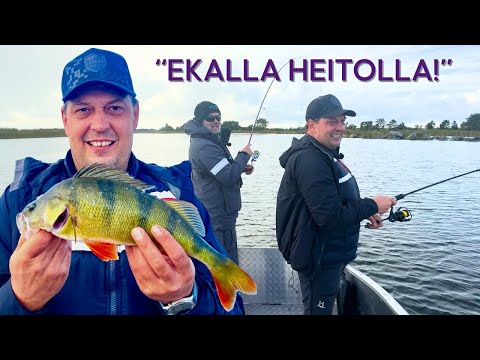 Toiset JUTTELEE, toiset KALASTAA – Ennätysahven Ensimmäisellä Heitolla - VIERAAT VESILLÄ