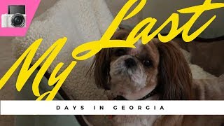Vlog #1: Last Days in Georgia