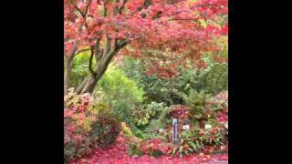 ДДТ - В последнюю осень / DDT - V poslednyaya osen live acoustic