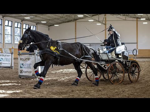 Hobby jednospřeží, Zimní jezdecký pohár 2022, Slatiňany 12. 2. 2022