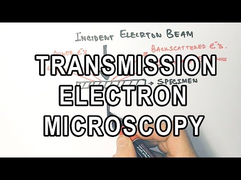 Principle Of Transmission Electron Microscopy