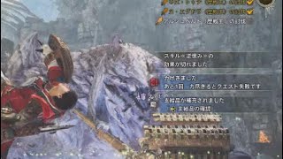 努力と運でそれは訪れた...！［MH Wilds］