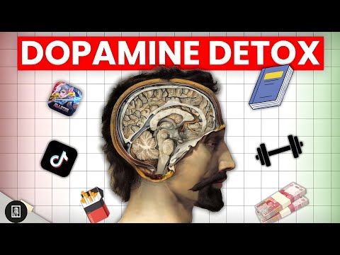 Your Brain Needs a 'Reset': A 24-Hour Dopamine Detox Guide for Gen Z