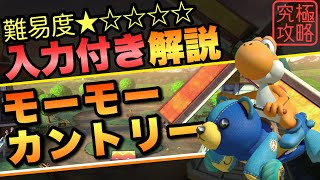 モーモーカントリーTA解説【マリオカート8DX】
