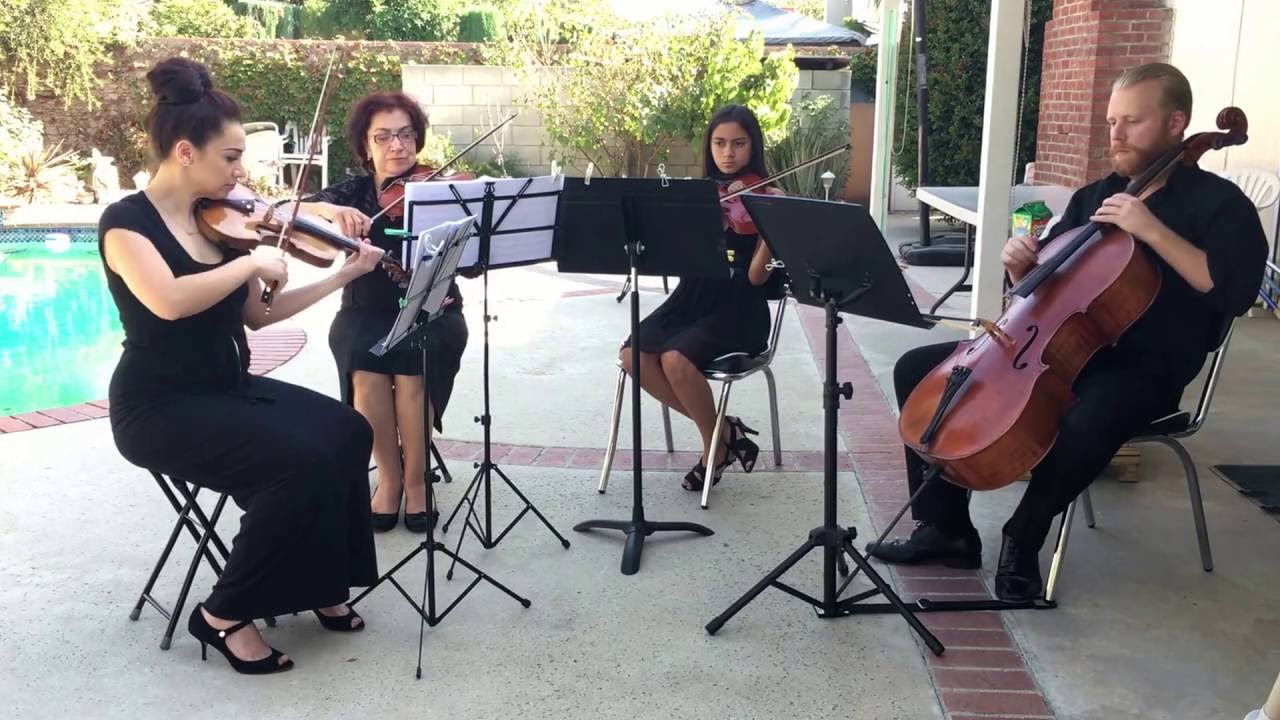 Hire Tamara Elvy Violinist in Las Vegas, Nevada