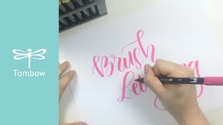 Tombow Dual Brush Pen Techniques