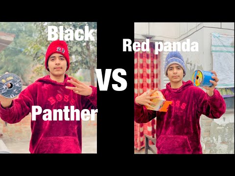 Black panther VS red panda😍😍 kehri ghaint ?? Kite vlog 😍😍#vlog #youtube