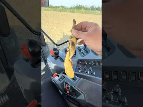 The tractor couldn't move forward after driving over the banana peels. #comedy #farm