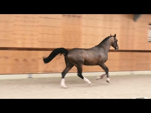 Gaits