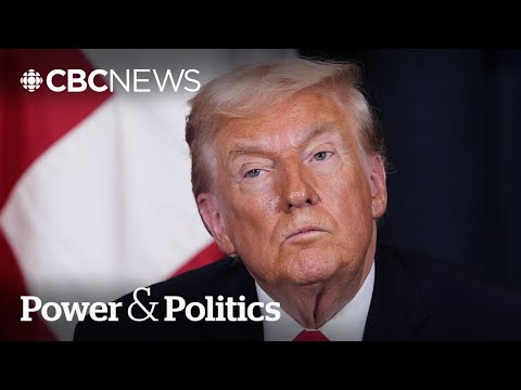 Middle powers 'have agency' in the 'new world order': German ambassador