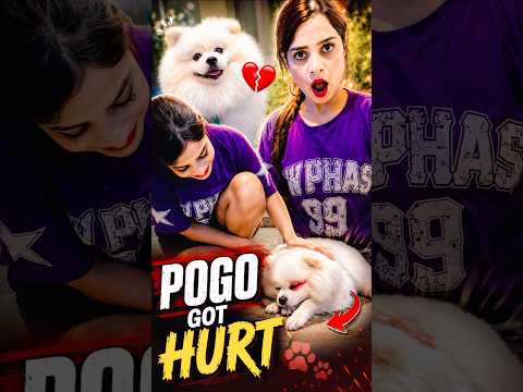 POGO HUA HURT 🐶🥺♥️ #youtubeshorts #funny #cutedog