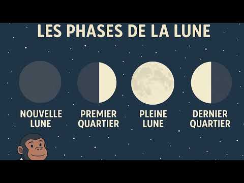 Séance : Les phases de la lune