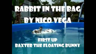 Rabbit in the Bag - Nico Vega (plus bonus instrumental)