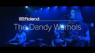 Roland Sessions: The Dandy Warhols &quot;You Come In Burned&quot;