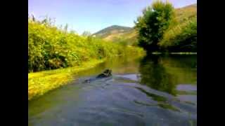 preview picture of video 'Rischio cappottamento con canoa a Sermoneta'