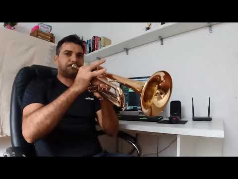 André Almeida Hino 319