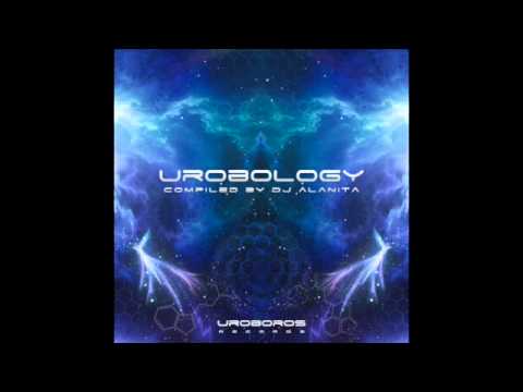 Onionbrain - Interface