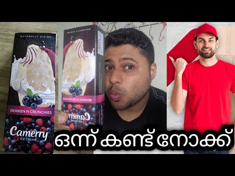 Camerry Ice Cream Berries N Crunchies അടിപൊളി!Vloger - jeevesh k b! Matrix channel #food #icecream