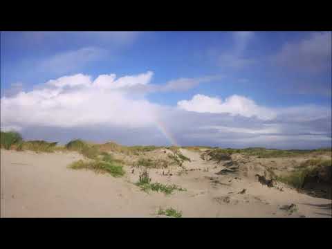 Gottes Plan mit uns Teil 2 Bibelstellen in der Beschreibung→