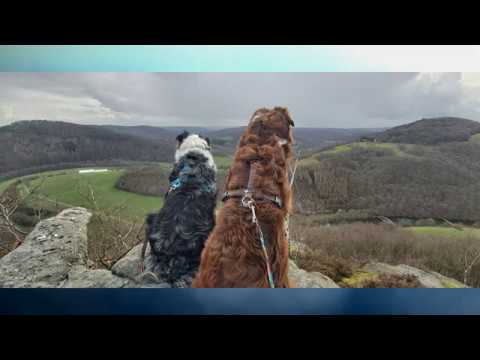 Am Nordtor der Eifel