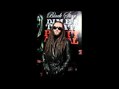 DJ MEG ft. Timati - Party Animal