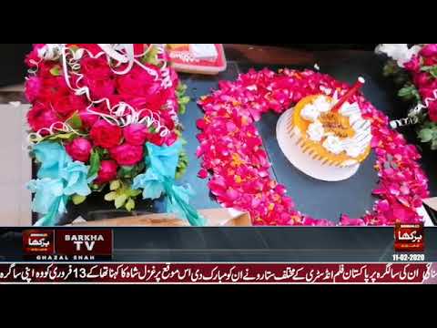 Ghazal Shah Birthday Cake Cutting In Barkha Tv Office || Barkha Tv || Birthday Cake Cutting