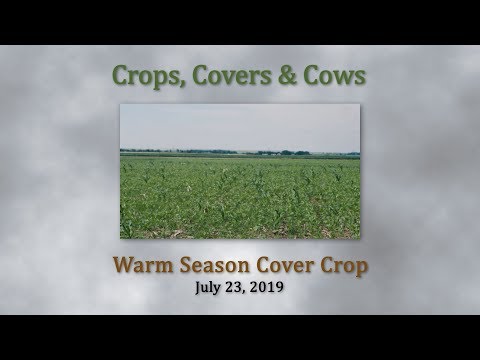 CCC  Warm Season Cover Crops