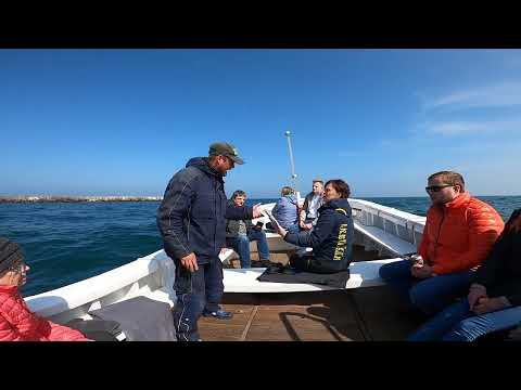 Helgoland Börteboot Rundfahrt 230423