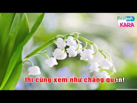 Một Lần Dang Dở - Quang Lê - Karaoke HD