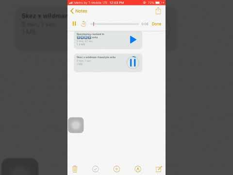 Skez x wildman-freestyle