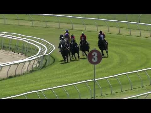 Heat 12   Doomben Jumpouts 0212