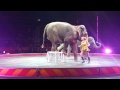 Ringling Barnum Bailey Elephants
