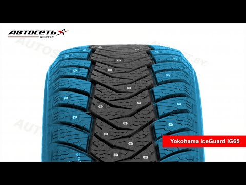 Yokohama iceGuard iG65 Winter Tire Review ● Autoset ●