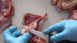 Dezosarea pulpelor de pui - Video 2