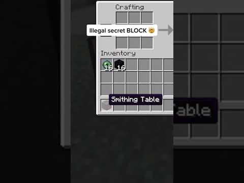 Illegal secret BLOCK in Minecraft #shorts