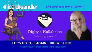 A Regular Tuesday with Digby , if the Gremlins permit