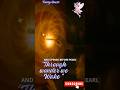 The Hidden Wall Behind Wickmere Café Perlhale Fairytales Fairysquest Mystory Animation Angel